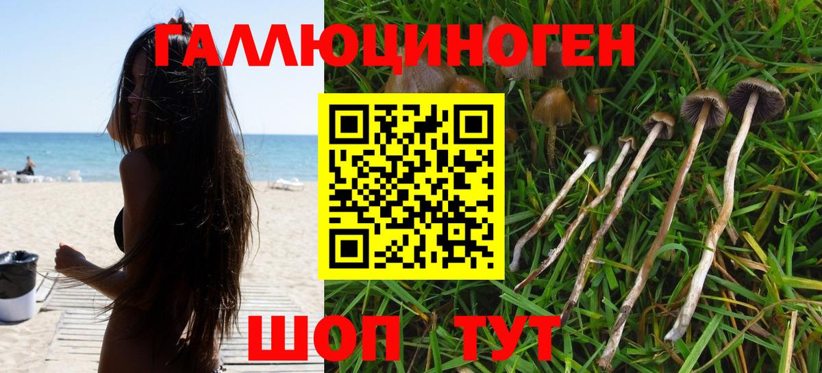 Галлюциногенные грибы прущие грибы  Галлюциногенные грибы Psilocybine cubensis  Вход с VPN  Артёмовский 